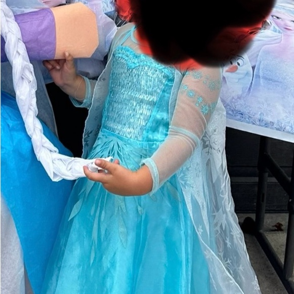 Disney Frozen Elsa Costume - Light Blue and White